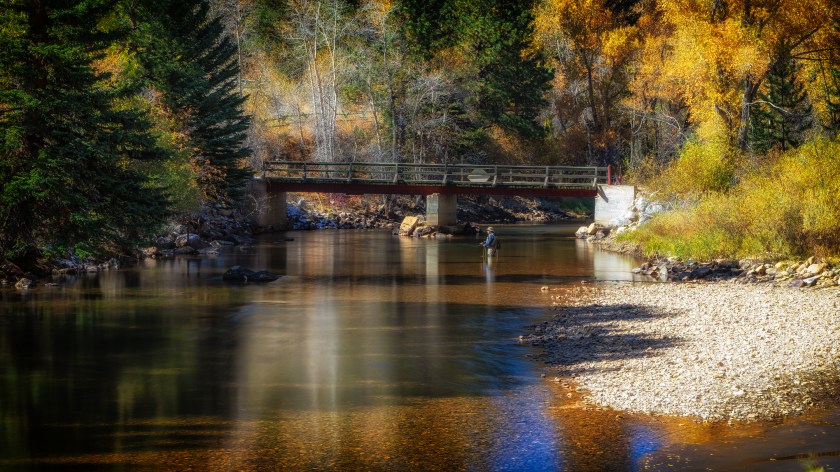 Colorado Fall Fly